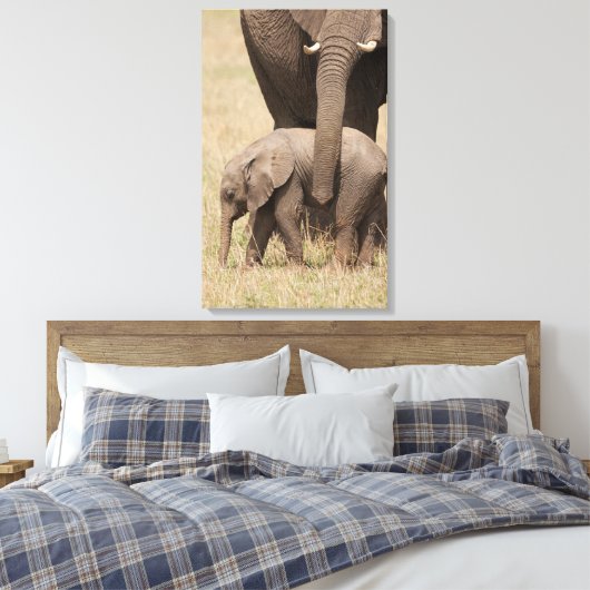 Afrikaanse Baby olifant met moeder Canvas Afdruk (Insitu (Slaapkamer))