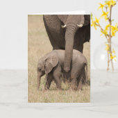 Afrikaanse Baby olifant met moeder Kaart (Gele Bloem)