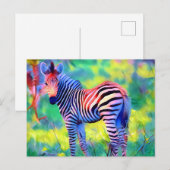 Afrikaanse baby zebra briefkaart (Voorkant / Achterkant)