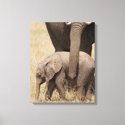 Afrikaanse babyolifant met moeder canvas afdruk (Voorkant)