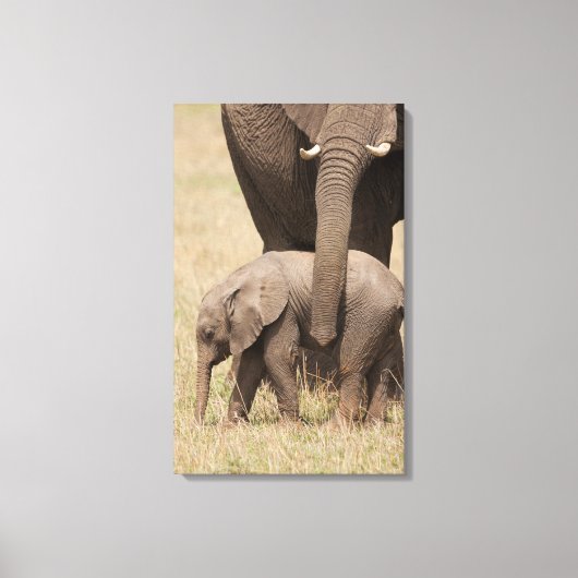Afrikaanse babyolifant met moeder canvas afdruk (Voorkant)
