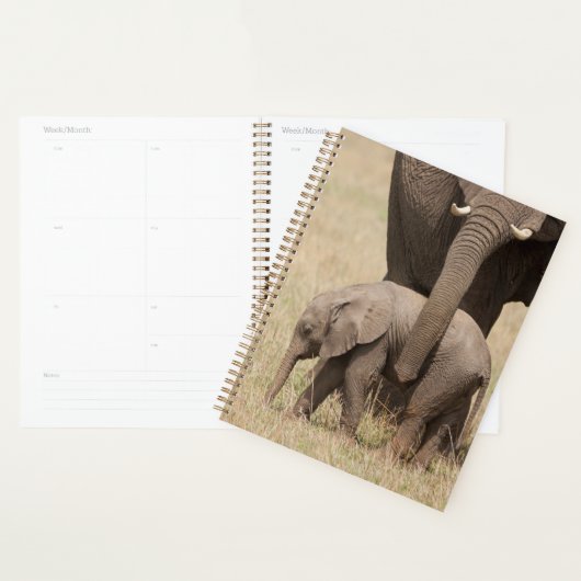 Afrikaanse babyolifant met moeder planner (Display)