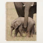Afrikaanse babyolifant met moeder planner (Voorkant)
