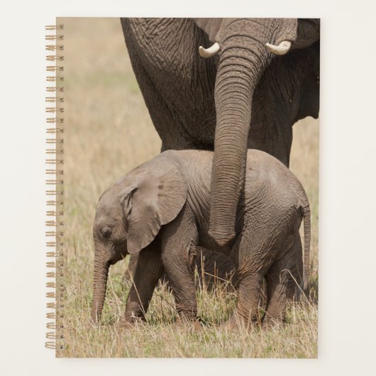 Afrikaanse babyolifant met moeder planner (Voorkant)