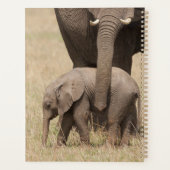 Afrikaanse babyolifant met moeder planner (Achterkant)