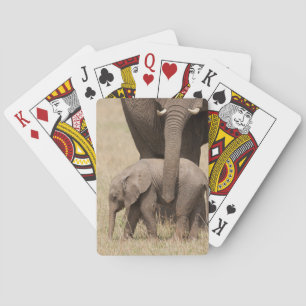 Afrikaanse babyolifant met moeder pokerkaarten