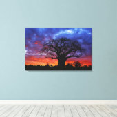 Afrikaanse baobabboom, Adansonia digitata, 2 Canvas Afdruk (Insitu (Houten vloer))
