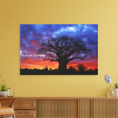 Afrikaanse baobabboom, Adansonia digitata, 2 Canvas Afdruk (Insitu (Woonkamer))