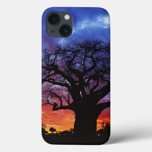 Afrikaanse baobabboom, Adansonia digitata, 2 Case-Mate iPhone Case (Achterkant)