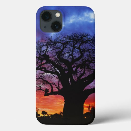 Afrikaanse baobabboom, Adansonia digitata, 2 Case-Mate iPhone Case (Achterkant)