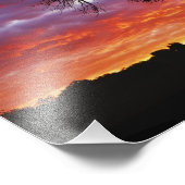 Afrikaanse baobabboom, Adansonia digitata, 2 Foto Afdruk (Hoek)