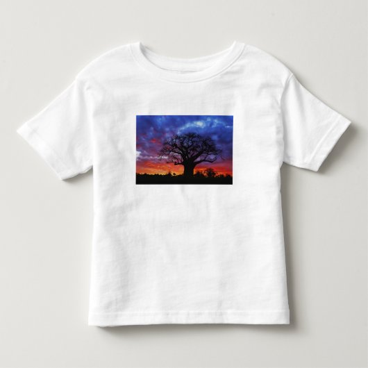 Afrikaanse baobabboom, Adansonia digitata, 2 Kinder Shirts (Voorkant)