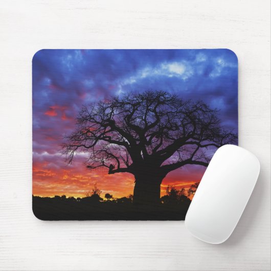 Afrikaanse baobabboom, Adansonia digitata, 2 Muismat (Met muis)