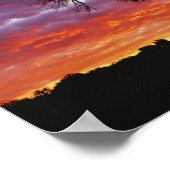 Afrikaanse baobabboom, Adansonia digitata, 2 Poster (Hoek)