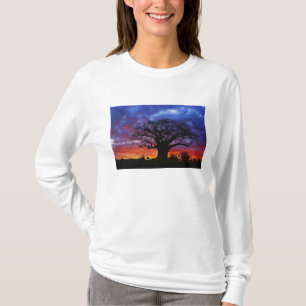 Afrikaanse baobabboom, Adansonia digitata, 2 T-shirt