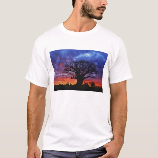 Afrikaanse baobabboom, Adansonia digitata, 2 T-shirt (Voorkant)