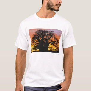 Afrikaanse baobabboom, Adansonia digitata, T-shirt