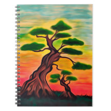 Afrikaanse baobabs