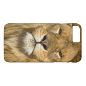 Afrikaanse Barbarijleeuw, Panthera leo leo, een va Case-Mate iPhone Case (Achterkant (Horizontaal))