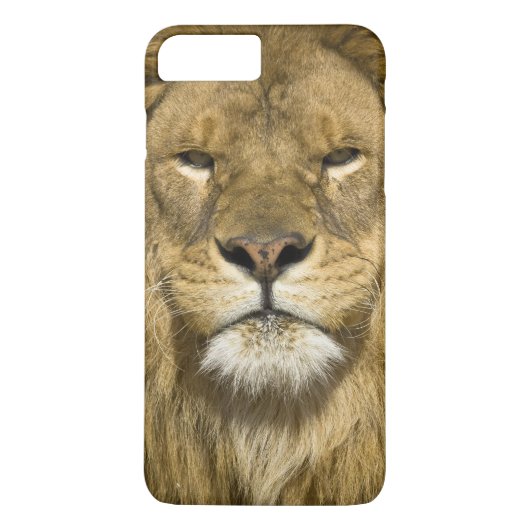 Afrikaanse Barbary Lion, Panthera leo leo, een van Case-Mate iPhone Case (Achterkant)