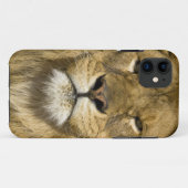Afrikaanse Barbary Lion, Panthera leo leo, een van Case-Mate iPhone Case (Achterkant (horizontaal))