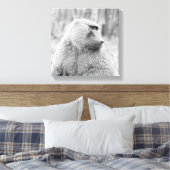 Afrikaanse baviaan canvas afdruk (Insitu (Slaapkamer))
