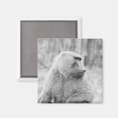 Afrikaanse baviaan magneet (Voorkant / Achterkant)