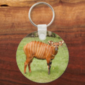 Afrikaanse Bongo Sleutelhanger (Voorkant)
