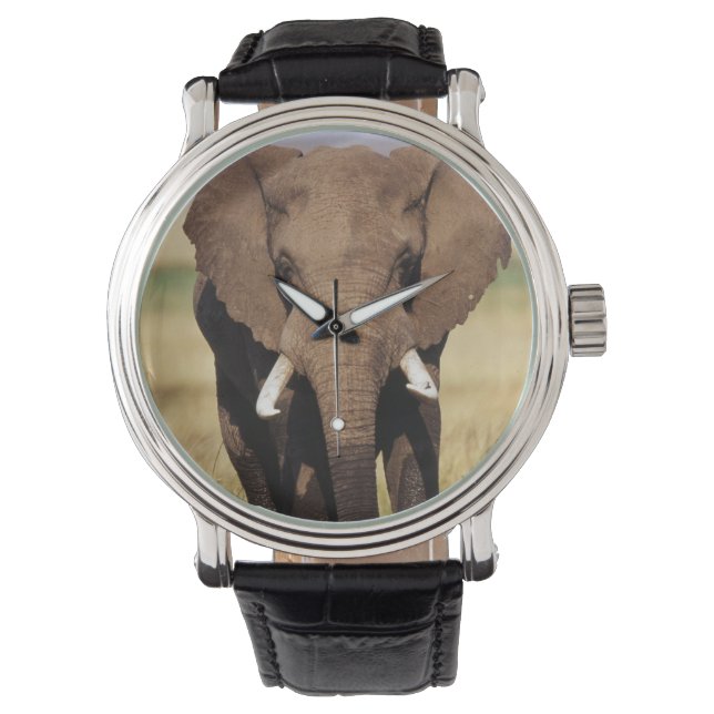 Afrikaanse Bosolifant Horloge (Voorkant)