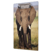 Afrikaanse Bosolifant Klembord (Links)