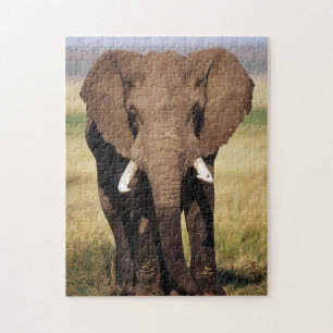 Afrikaanse Bosolifant Legpuzzel