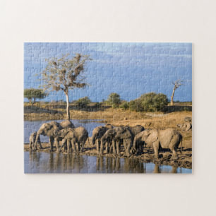 Afrikaanse Bosolifant (Loxodonta Africana) Kudde Legpuzzel