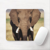 Afrikaanse Bosolifant Muismat (Met muis)