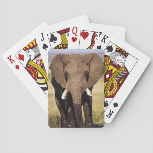 Afrikaanse Bosolifant Pokerkaarten (Achterkant)