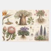 "Afrikaanse Botanische Atlas Inpakpapier Vel (Voorkant)