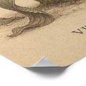 Afrikaanse botanische vogelkunst met het leven van poster (Hoek)