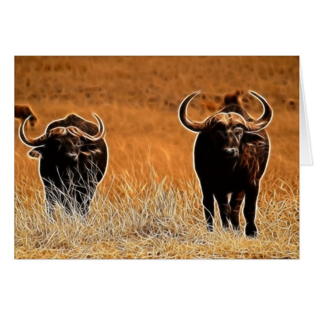 Afrikaanse buffel (Voorkant Horizontaal)