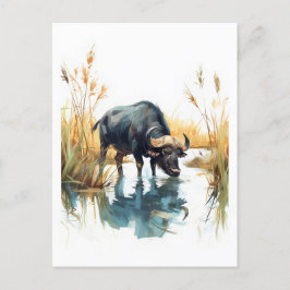 Afrikaanse buffel aan de rand van het water feestdagenkaart