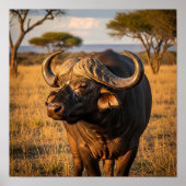 Afrikaanse buffel poster (Voorkant)