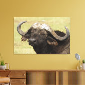 Afrikaanse buffel, Syncerus caffer Canvas Afdruk (Insitu (Woonkamer))