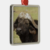 Afrikaanse buffel, Syncerus caffer Metalen Ornament (Rechts)