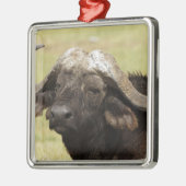 Afrikaanse buffel, Syncerus caffer Metalen Ornament (Links)