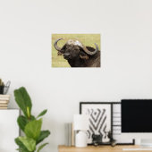 Afrikaanse buffel, Syncerus caffer Poster (Thuiskantoor)