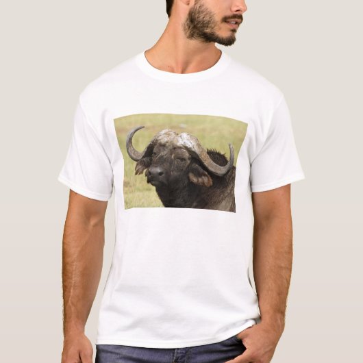 Afrikaanse buffel, Syncerus caffer T-shirt (Voorkant)