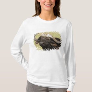 Afrikaanse buffel, Syncerus caffer T-shirt