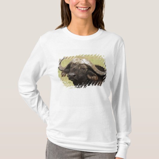 Afrikaanse buffel, Syncerus caffer T-shirt (Voorkant)