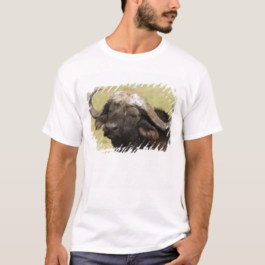 Afrikaanse buffel, Syncerus caffer T-shirt (Voorkant)