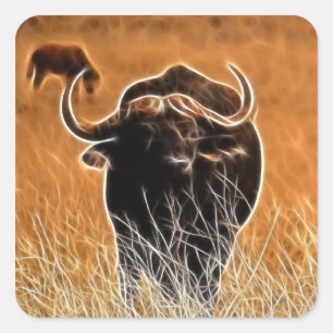 Afrikaanse buffel vierkante sticker