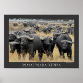 Afrikaanse buffels van het Poster Masai Mara (Voorkant)