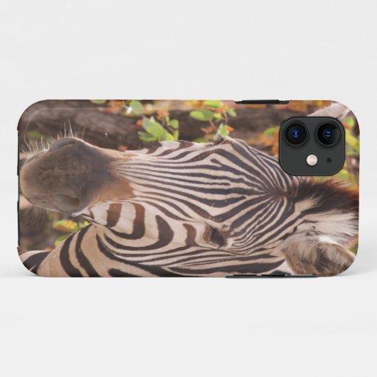 Afrikaanse Burchell's zebra met strepen in bushvel Case-Mate iPhone Case (Achterkant (horizontaal))